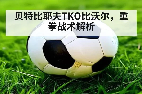 贝特比耶夫TKO比沃尔，重拳战术解析