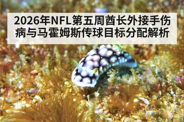 2026年NFL第五周酋长外接手伤病与马霍姆斯传球目标分配解析